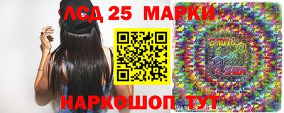 молекула духа Новозыбков