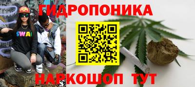 молекула духа Новозыбков