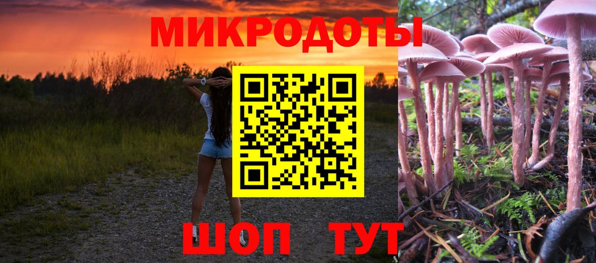Вязники  Псилоцибиновые грибы Psilocybine cubensis  Вход с VPN  Галлюциногенные грибы мухоморы 